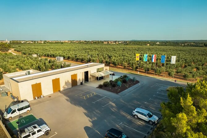 Olive Oil Tasting and Sunset Buggy Tour with Your Local Guide - Starting Point and Tour Logistics in Istria
