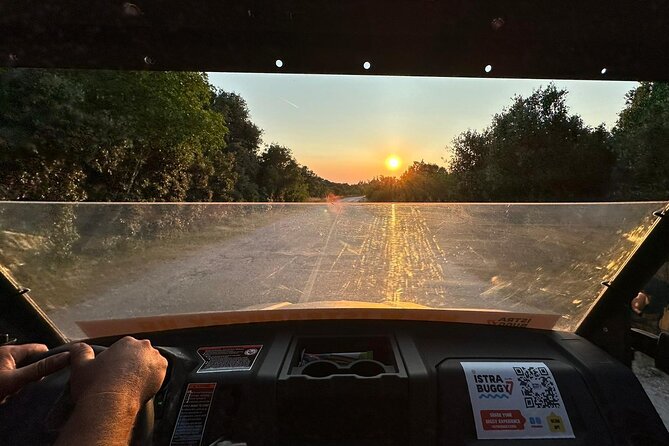 Olive Oil Tasting and Sunset Buggy Tour with Your Local Guide - Who Should Consider This Tour?