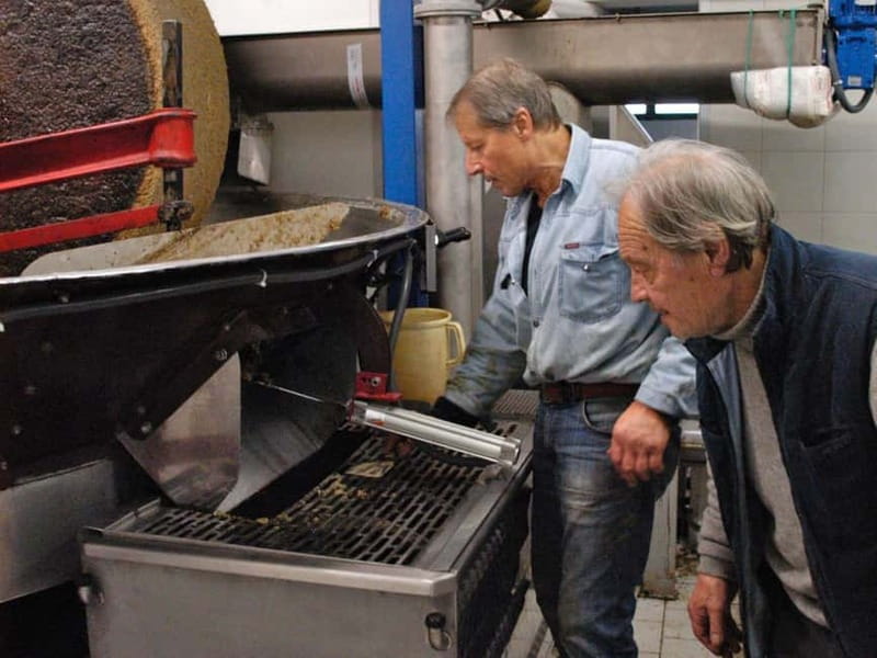 Olive Oil Tasting and Visit at Lake Como - Visiting the Olive Mill and Shop at Lake Como