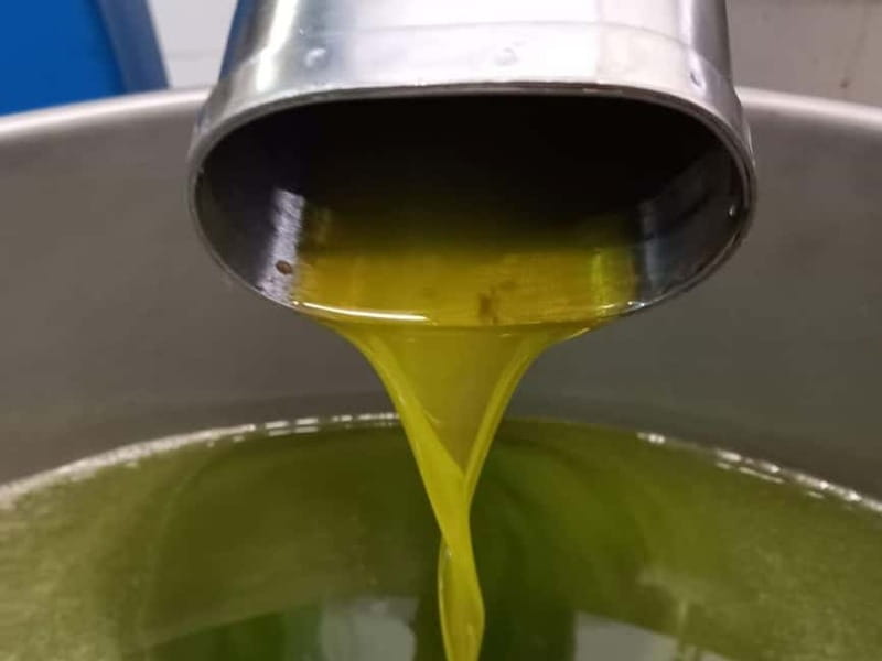 Olive Oil Tasting and Visit at Lake Como - The Optional Scenic Walk through the Olive Grove