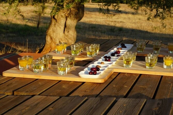 Olive Oil Tasting at the Mykonian Farm - The Cost and What You Get