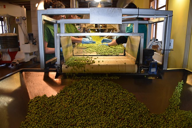 Olive Oil Tasting Tour - Key Points