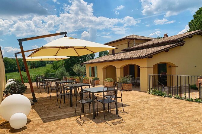 Olive oil tasting with oil mill tour in Umbria. - Key Points