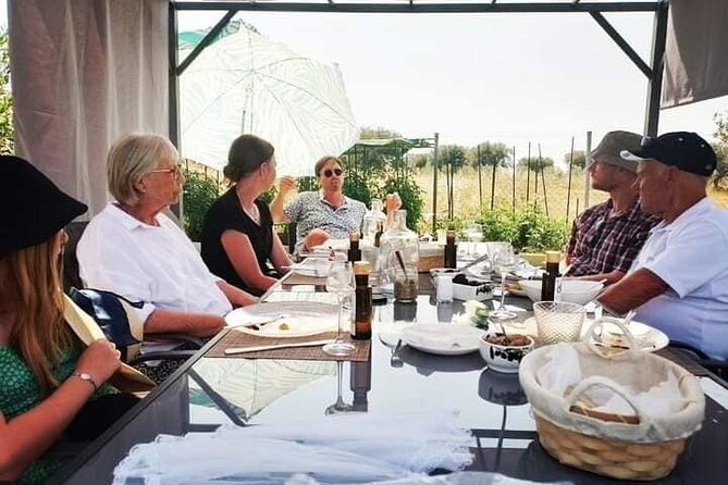 Olive oil tasting with seminar in Metagitsi - Halkidiki - Discover the Authentic Halkidiki Olive Oil Experience
