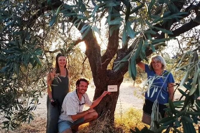 Olive oil tasting with seminar in Metagitsi - Halkidiki - What the Olive Oil Seminar Teaches About Halkidikis Heritage