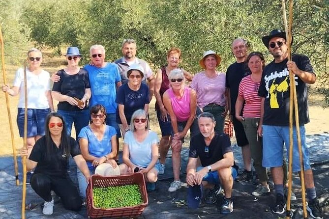 Olive oil tasting with seminar in Metagitsi - Halkidiki - Exploring the Olive Groves and Production Process