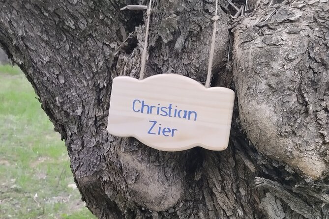 Olive oil tasting with seminar in Metagitsi - Halkidiki - The Role of Family-Run Toleo Halkidiki Olive Grove