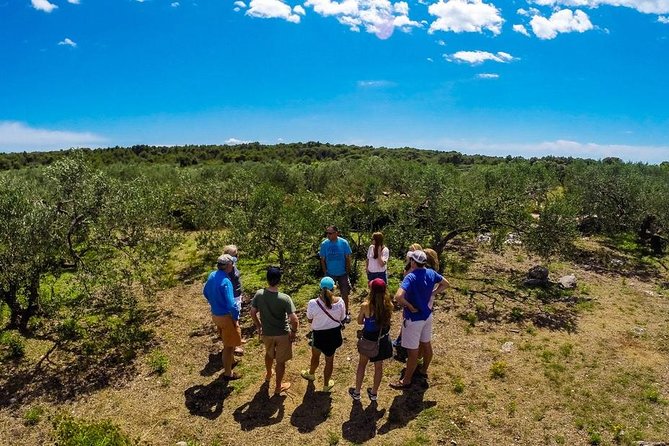 Olive Oil Tour of Solta Island with Lunch - Explore the Authentic Olive Oil Heritage of Solta Island