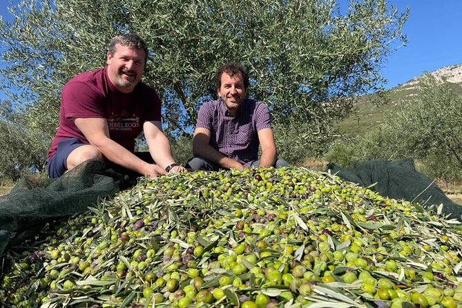 Olive Oil Tour & Tasting with sommelier -Kalentzi, Athens daytrip - Practical Details: Logistics and Booking