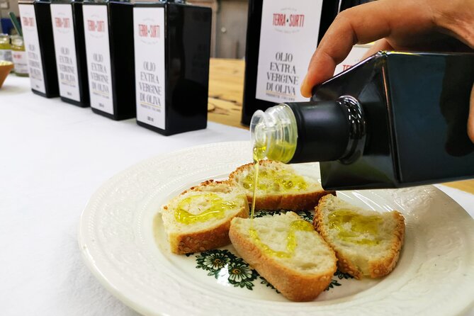 Olive Oil Tour Visit to the oil mill and olive oil tasting - Key Points