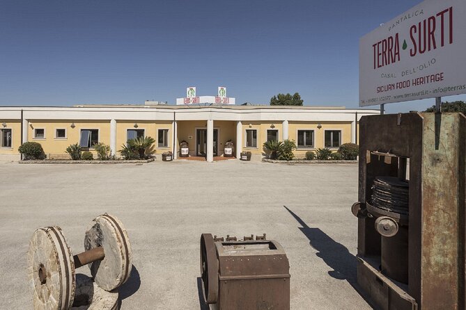 Olive Oil Tour Visit to the oil mill and olive oil tasting - Virtual Reality: Bringing the Harvest to Life