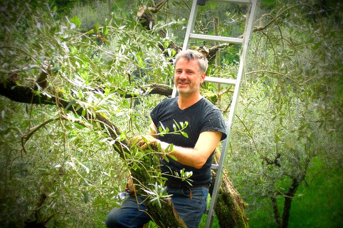 Olive Oil tour with Tuscan dinner - Pairing EVO Oils with Local Dishes