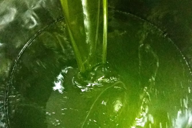 Olive Oil tour with Tuscan dinner - Meeting Point and Accessibility