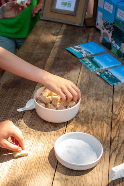 Olive oil: Visit to the olive grove, tasting - Logistics, Booking, and Flexibility