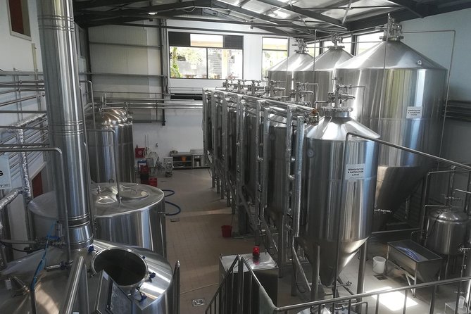 Olive Oil - Wine - Beer Private Tour (price per group of 6) - Olive Oil Production at the Vouves Site