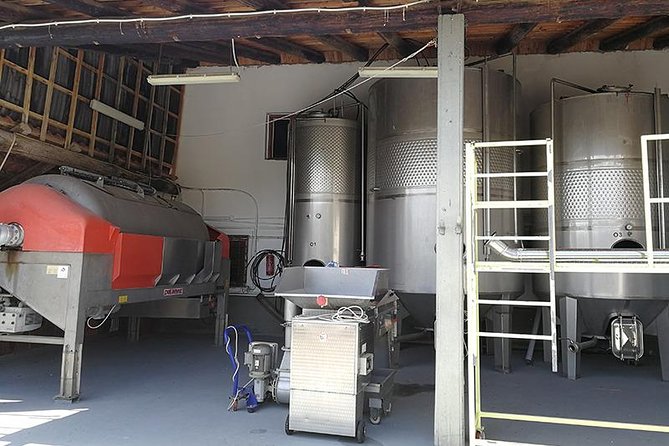 Olive Oil - Wine - Beer Private Tour (price per group of 6) - Optional Local Lunch and Additional Costs