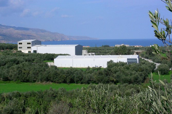 Olive Oil - Wine - Beer Private Tour (price per group of 6) - Logistics and Comfort