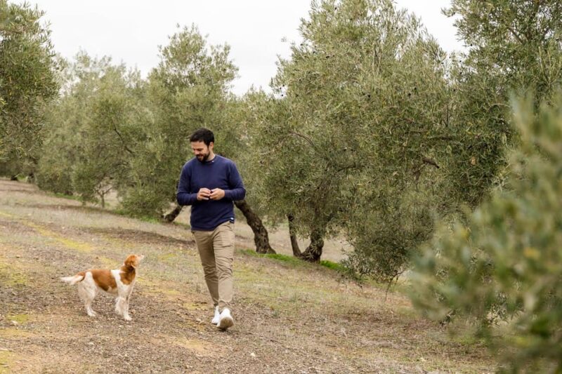 OLIVE OIL & WINE TOUR Organic fields - 5 Wines + 3Olive Oils - Walking Among Centuries-Old Olive and Vineyard Trees