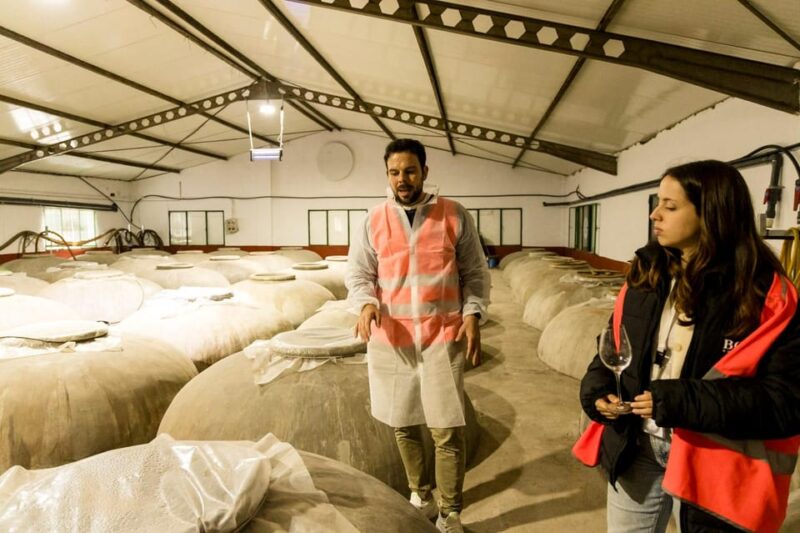 OLIVE OIL & WINE TOUR Organic fields - 5 Wines + 3Olive Oils - Tasting Five Wines and Three Olive Oils in a Rustic Setting