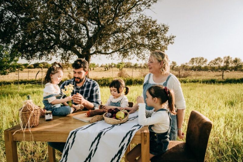 Olive plant and mill visit and tasting - Dive into Mallorca’s Olive Oil Heritage with a 3-Hour Guided Tour for $108