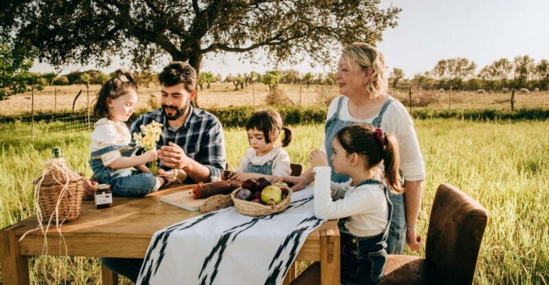 Olive plant and mill visit and tasting - Who Will Appreciate This Olive Oil Tour?