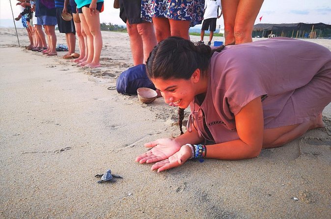Olive Ridley Turtle Release Experience - Learning About Sea Turtle Conservation from Experts