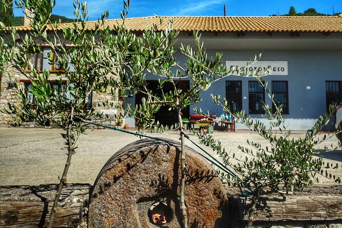 Olive Tour & Tasting - The Additional Stops: Waterfall and Local Souvenirs