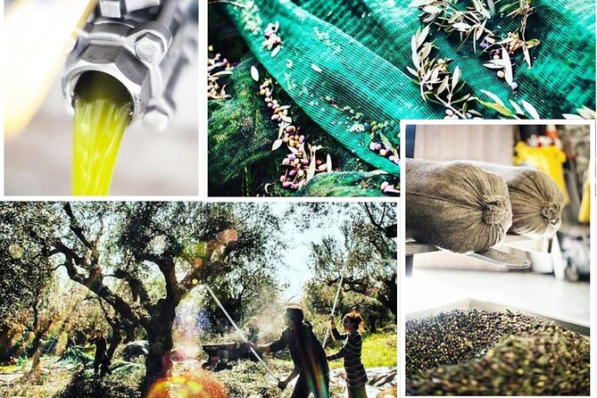 Olive Tour & Tasting - Who Will Appreciate This Experience Most?