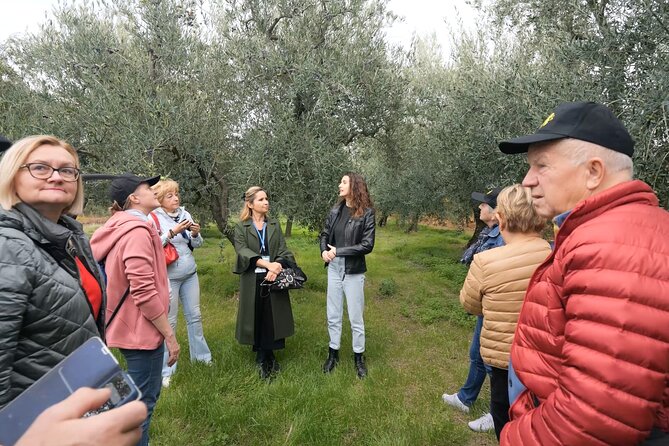Olive Tree Tour, Visit Vallarella Oil Mill, Oil Tasting - Explore the Authenticity of Puglia’s Olive Oil Production in Bari