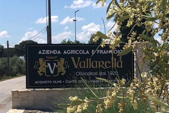 Olive Tree Tour, Visit Vallarella Oil Mill, Oil Tasting - Touring Vallarella’s Modern Oil Mill Built in 2020