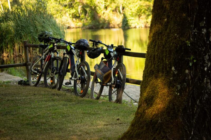 Oliveira de Frades: Ride an electric bike along the Vouga Ecopista - Key Points