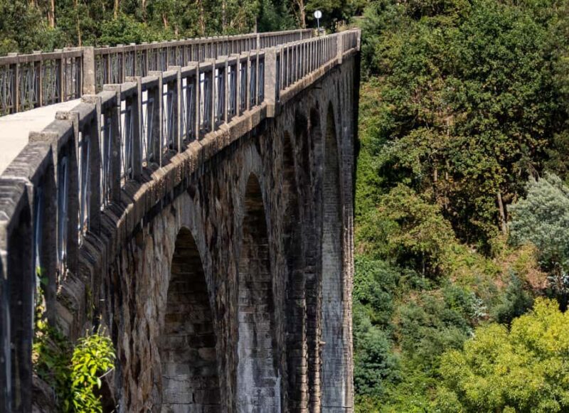 Oliveira de Frades: Ride an electric bike along the Vouga Ecopista - Returning to Oliveira de Frades