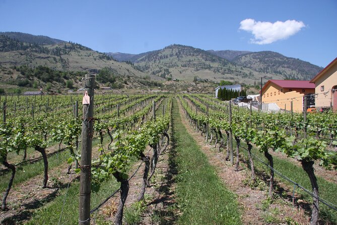 Oliver & Osoyoos Private Wine Tour - Half Day - Maverick Estate’s Old World Approach