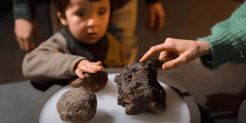 Olot: Espai Cràter Volcanology Center Entry Ticket - Explore the Educational Facilities: Sala Magma, Bufador Classroom, and Seismic Zone