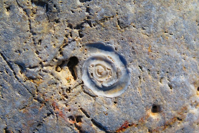 Olous  Guided Snorkelling Excursion to Discover Olous Sunken Ancient City - Transport and Meeting Arrangements