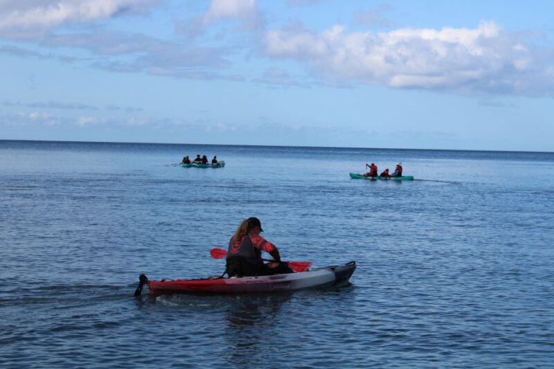 Olowalu: Guided Kayak and Snorkeling Tour - Unlimited - Starting Point and Meeting Logistics in Maui
