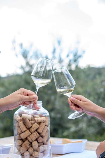 Oltrepò Pavese: a stone's throw from Milan, wine tasting surrounded by nature - Key Points