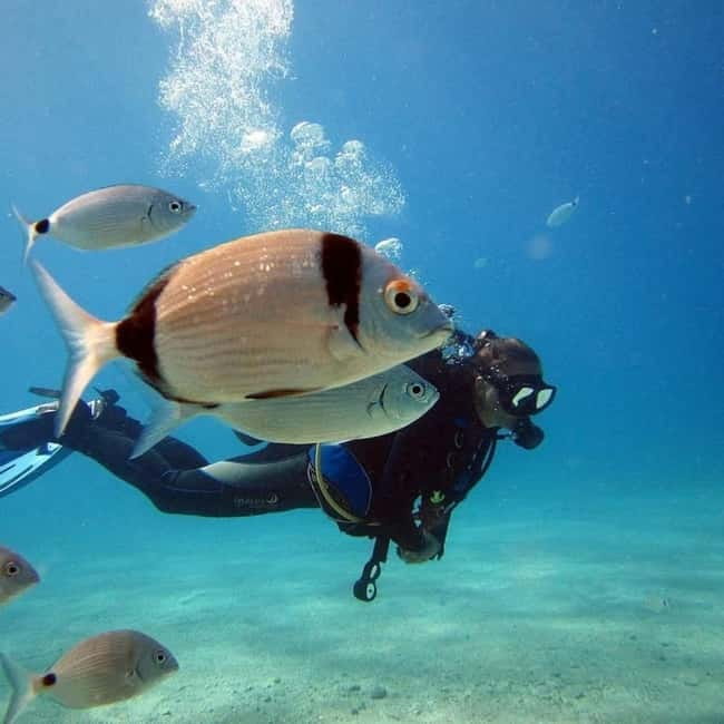 Oludeniz Half Day Scuba Diving Program - Experience the Bright Waters of Oludeniz with a Half-Day Scuba Diving Tour