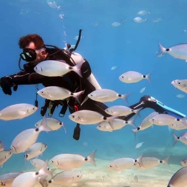 Oludeniz Half Day Scuba Diving Program - Accessibility and Practical Details