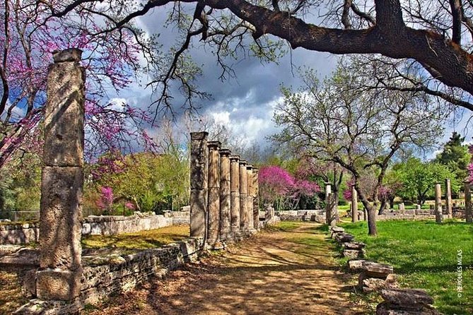 Olympia Highlights & Winery Experience: 4-Hour Tour - Key Points