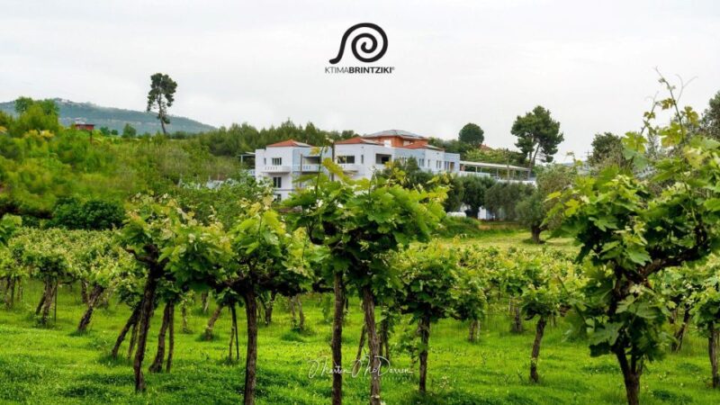 Olympia's Secrets & Wine Enchantment Tour - All Included - Olympias Secrets & Wine Enchantment Tour - All Included