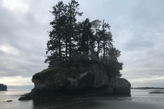 Olympic National Park Day Tour from Seattle - Salt Creek Recreation Area and Dungeness Spit: Tides and Beaches