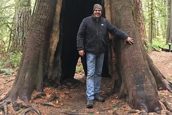 Olympic National Park Day Tour from Seattle - Lake Crescent and Its Old-Growth Forest Trails
