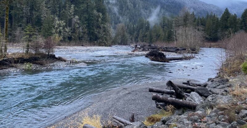 Olympic National Park: Half-Day Tour - Exploring Madison Creek Falls at the Elwha River
