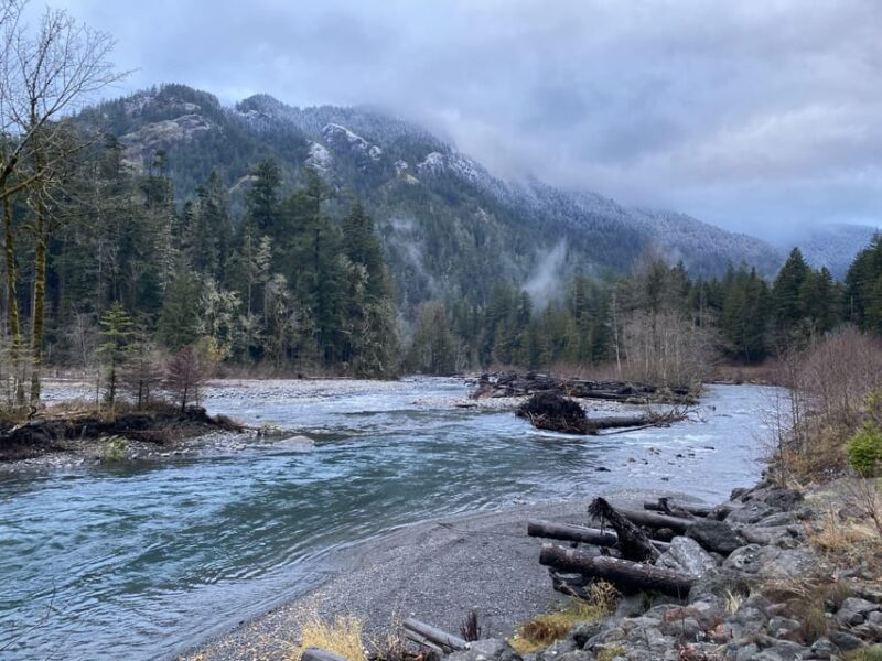 Olympic National Park: Half-Day Tour - Comparing Similar Olympic National Park Tours