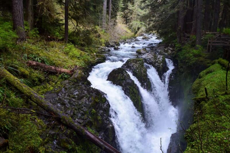 Olympic National Park: Sol Duc Falls & Hurricane Ridge Tour - Guided Hike to Sol Duc Falls through Old-Growth Forest