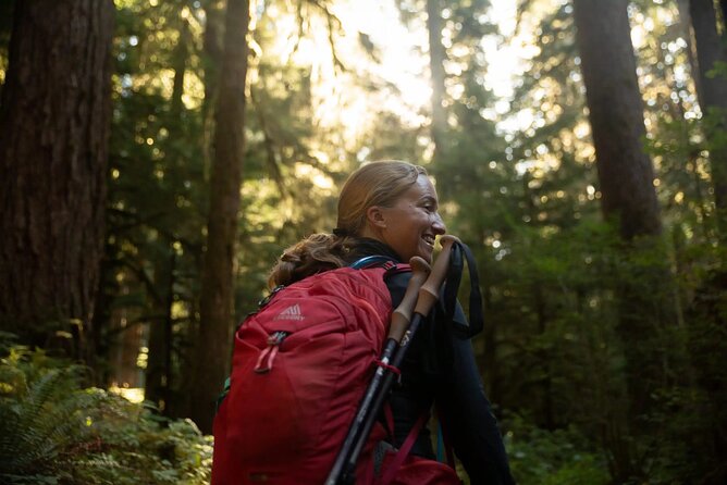 Olympic Two Day Private Tour and Hike - Visiting the Ancient Big Cedar Tree at Kalaloch
