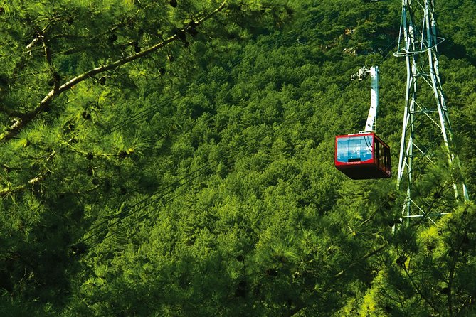 Olympos Teleferik Cable Car Antalya Ticket - The Value of the Olympos Teleferik Experience