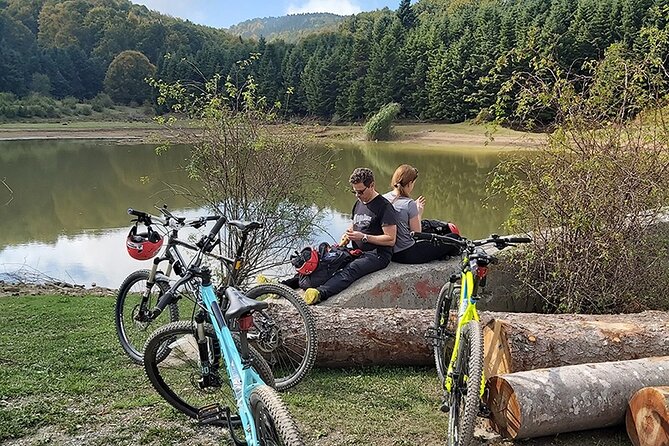 Olympus Mountain Biking - Rides tailored to you - Scenic Ride Through Forests of Pine, Fir, and Oak