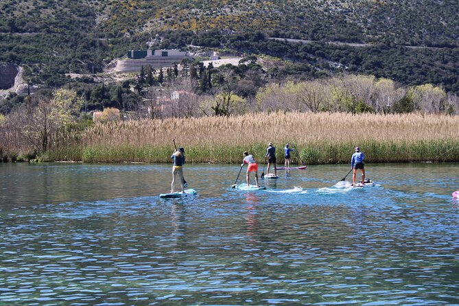Ombla river Paddleboarding tour in Dubrovnik with snacks - Dubrovniks Hidden Side: Ombla River Location and Meeting Point